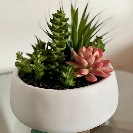 Lucky House Lägenhet